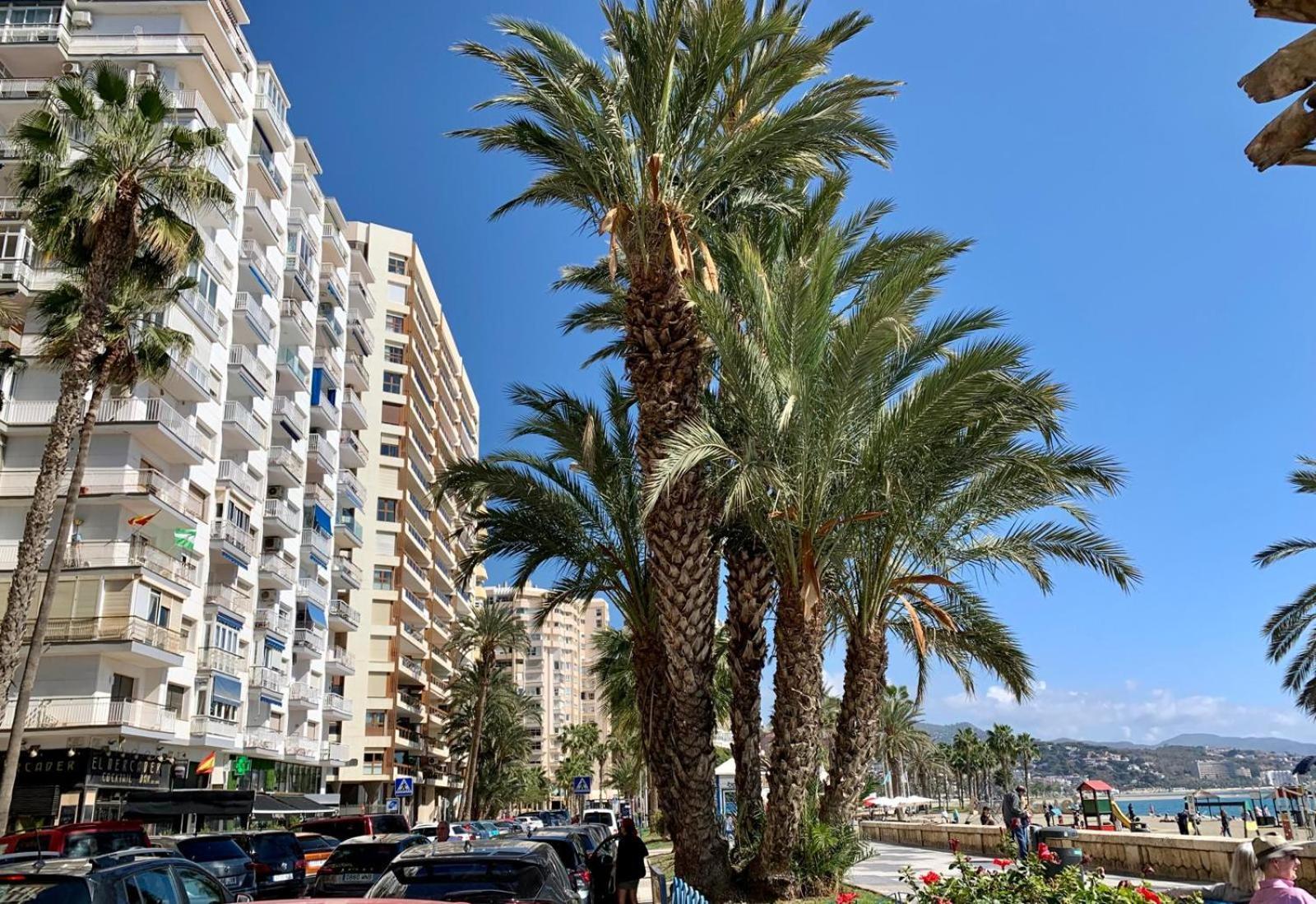 Estudio En Playa La Malagueta Málaga Eksteriør billede
